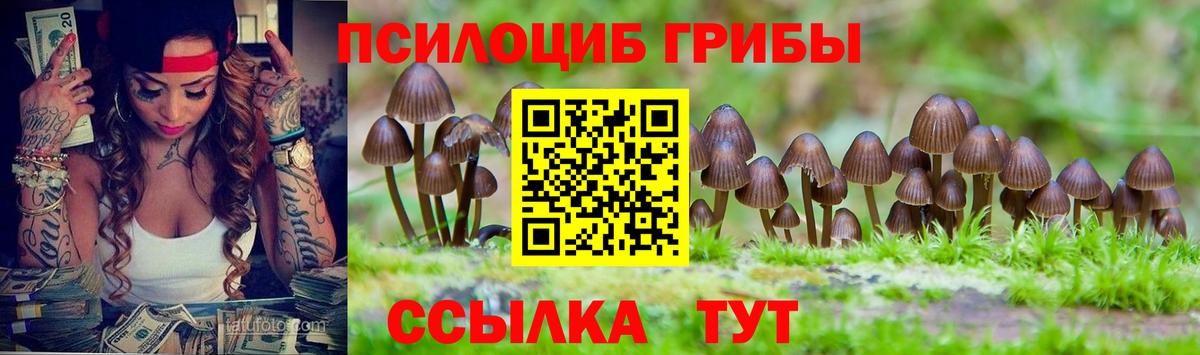 Галлюциногенные грибы прущие грибы  Галлюциногенные грибы прущие грибы  Конаково  Вход с VPN 